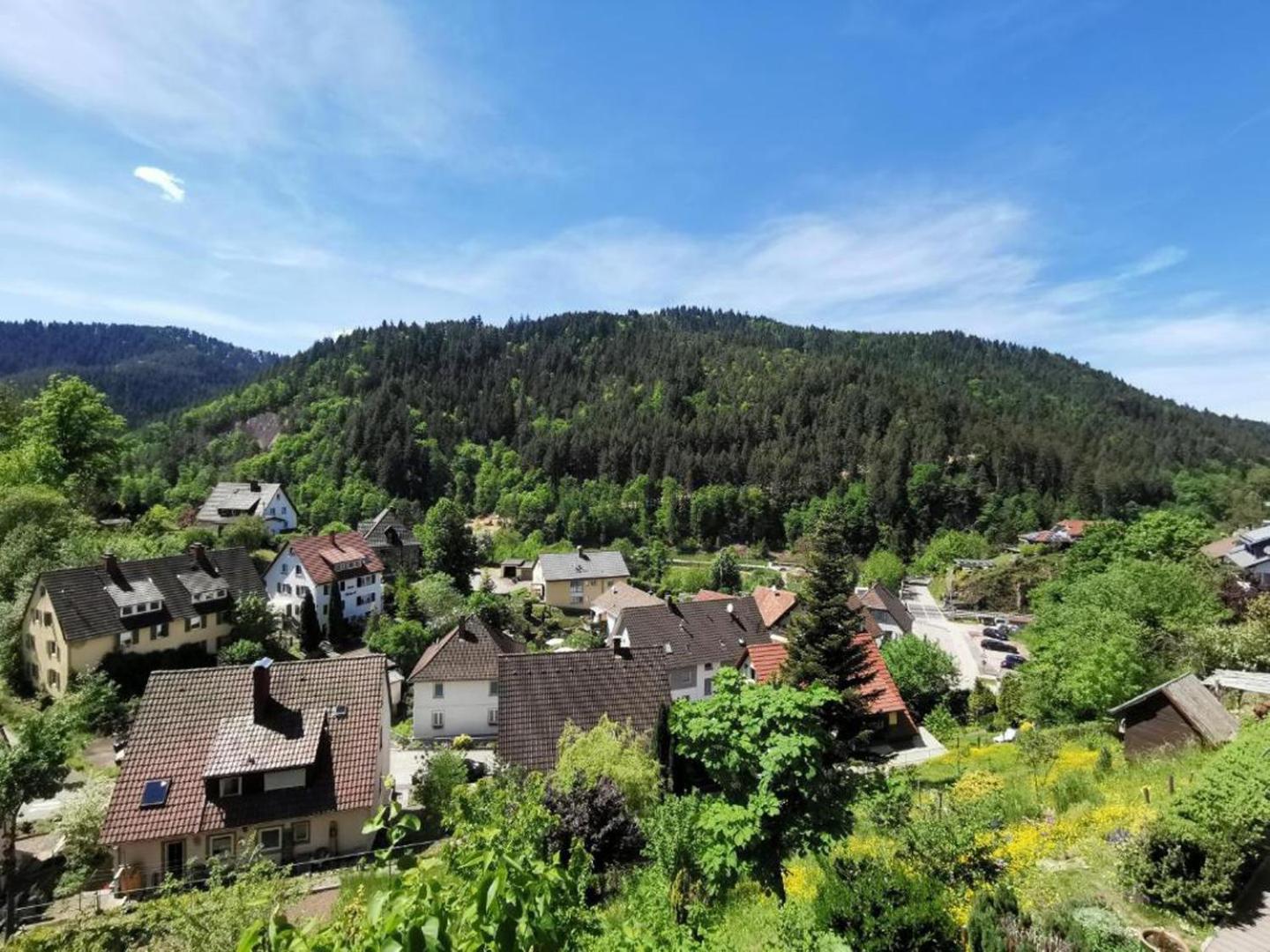 Ferienwohnung Am Rubersbach Хорнберг Экстерьер фото