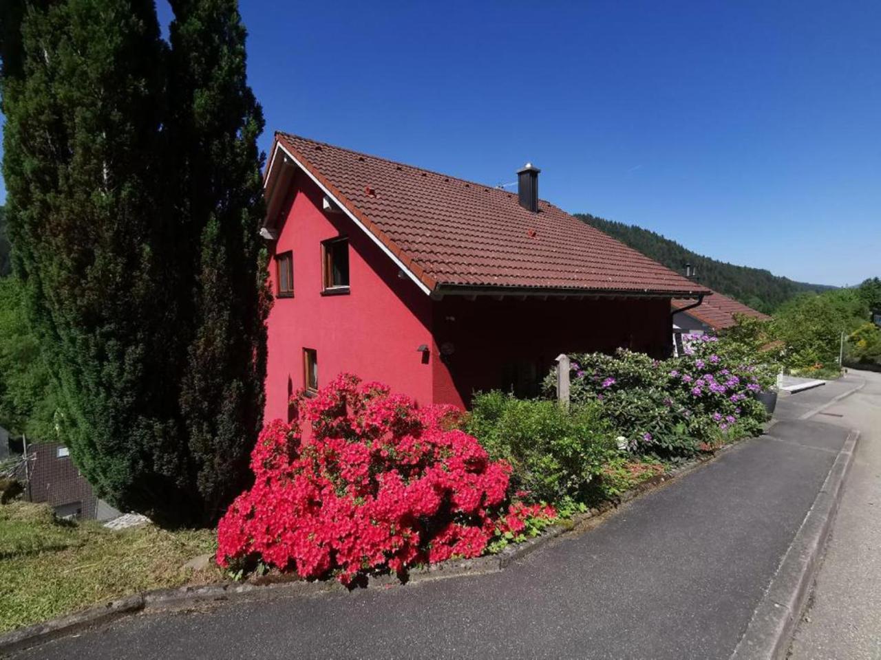 Ferienwohnung Am Rubersbach Хорнберг Экстерьер фото